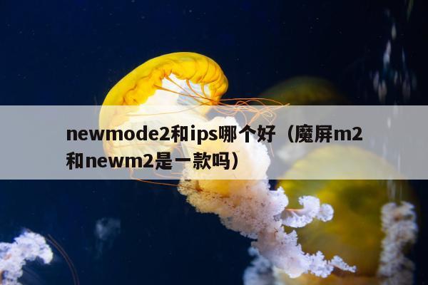 newmode2和ips哪个好（魔屏m2和newm2是一款吗）