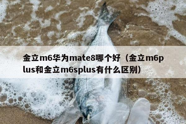 金立m6华为mate8哪个好（金立m6plus和金立m6splus有什么区别）