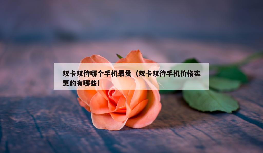 双卡双待哪个手机最贵（双卡双待手机价格实惠的有哪些）