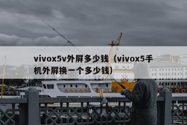 vivox5v外屏多少钱（vivox5手机外屏换一个多少钱）