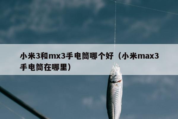 小米3和mx3手电筒哪个好（小米max3手电筒在哪里）