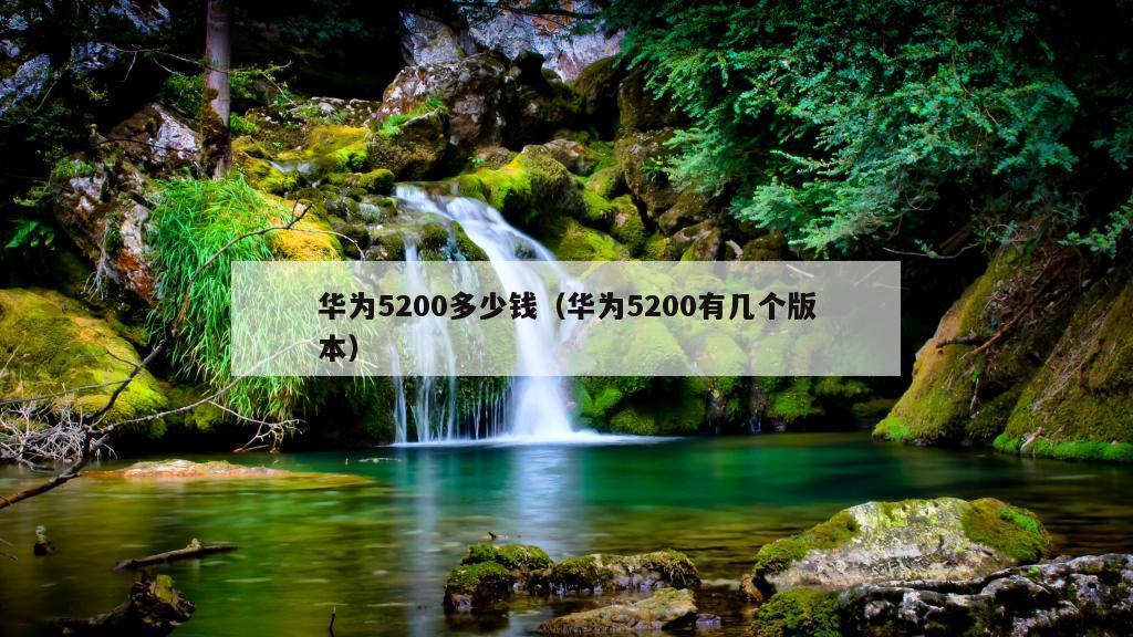 华为5200多少钱（华为5200有几个版本）