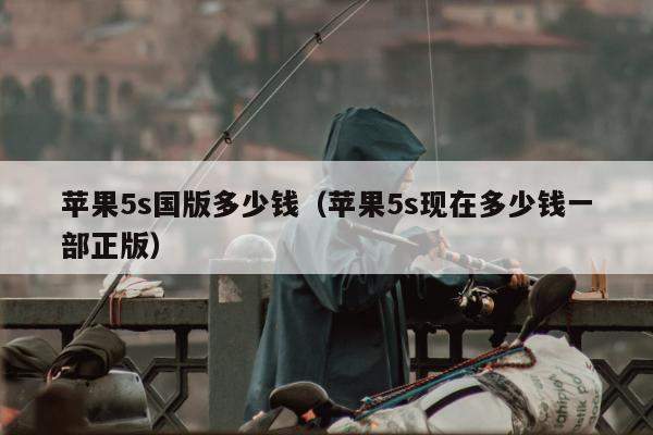 苹果5s国版多少钱（苹果5s现在多少钱一部正版）