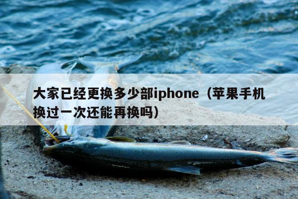 大家已经更换多少部iphone（苹果手机换过一次还能再换吗）