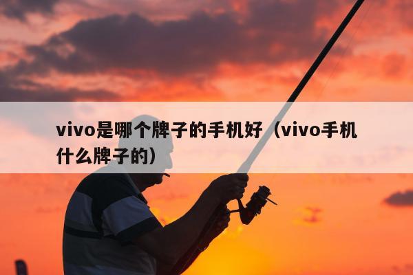 vivo是哪个牌子的手机好（vivo手机什么牌子的）