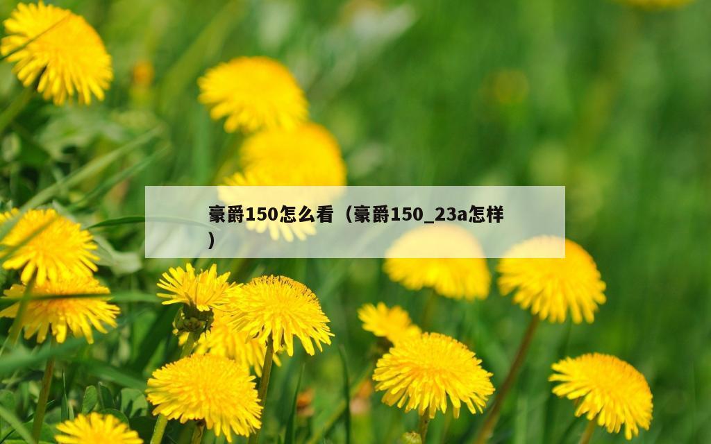 豪爵150怎么看（豪爵150_23a怎样）