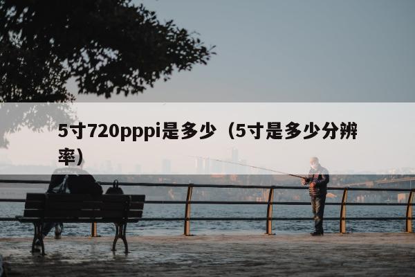 5寸720pppi是多少（5寸是多少分辨率）