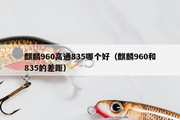 麒麟960高通835哪个好（麒麟960和835的差距）