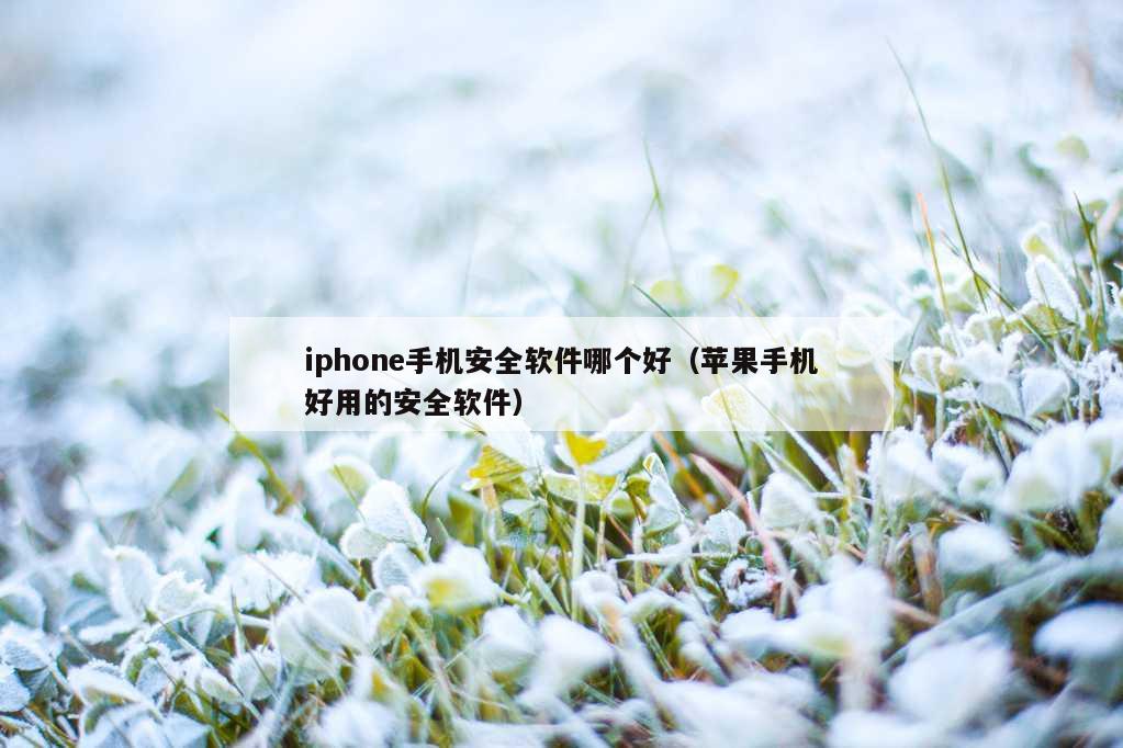 iphone手机安全软件哪个好（苹果手机好用的安全软件）