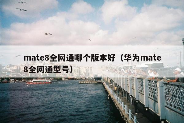 mate8全网通哪个版本好（华为mate8全网通型号）