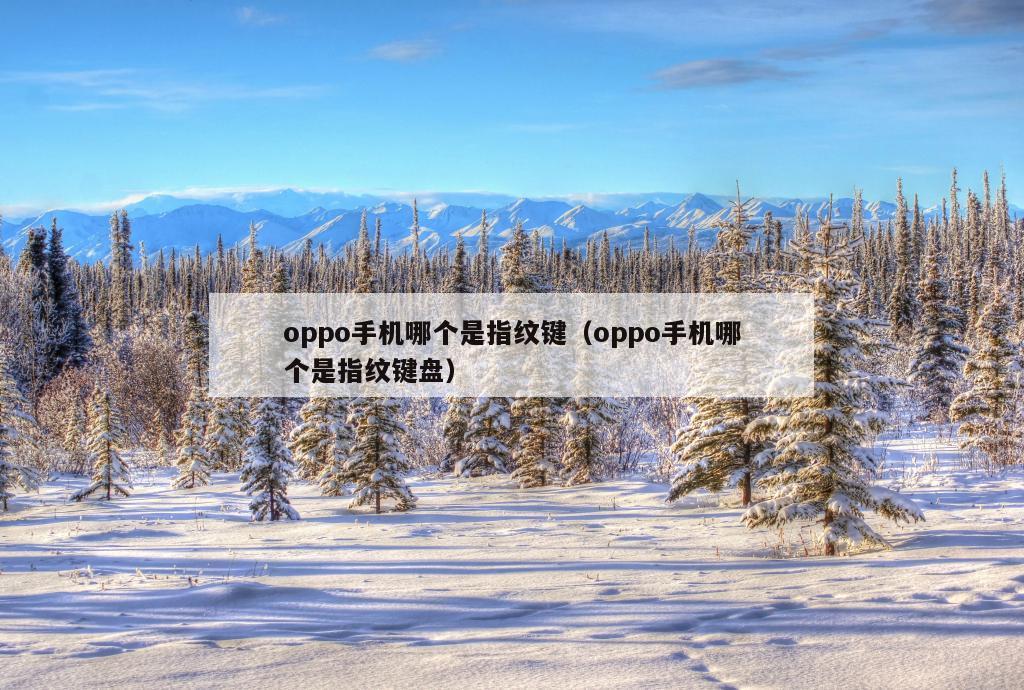 oppo手机哪个是指纹键（oppo手机哪个是指纹键盘）