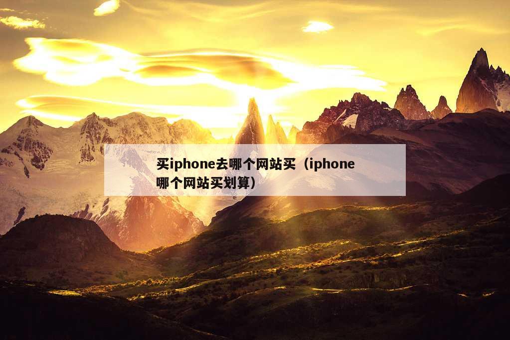 买iphone去哪个网站买（iphone哪个网站买划算）