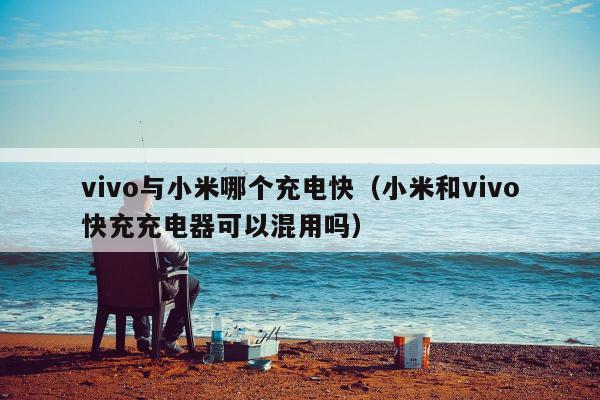 vivo与小米哪个充电快（小米和vivo快充充电器可以混用吗）