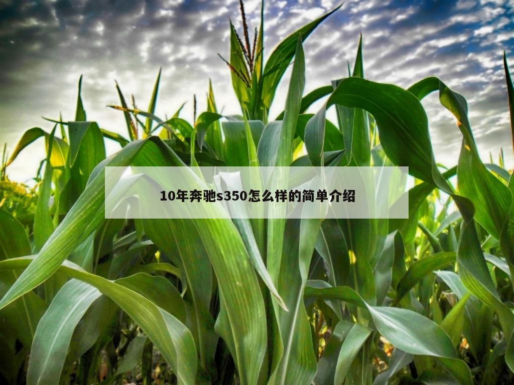 10年奔驰s350怎么样的简单介绍