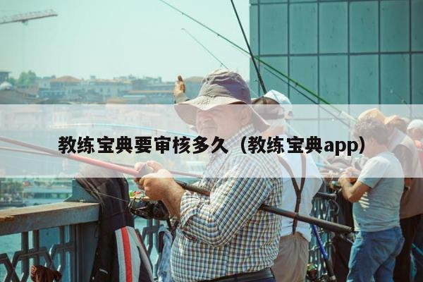 教练宝典要审核多久（教练宝典app）