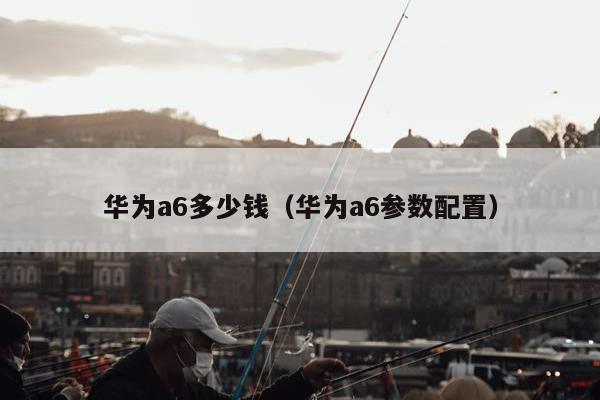 华为a6多少钱（华为a6参数配置）