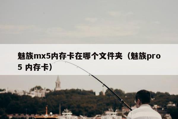 魅族mx5内存卡在哪个文件夹（魅族pro5 内存卡）