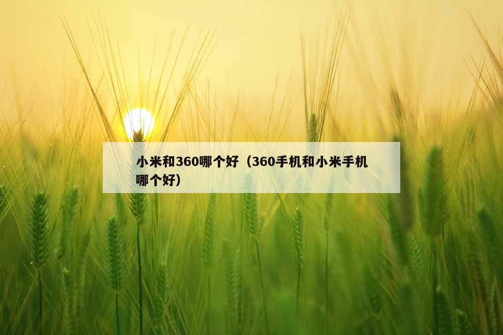 小米和360哪个好（360手机和小米手机哪个好）