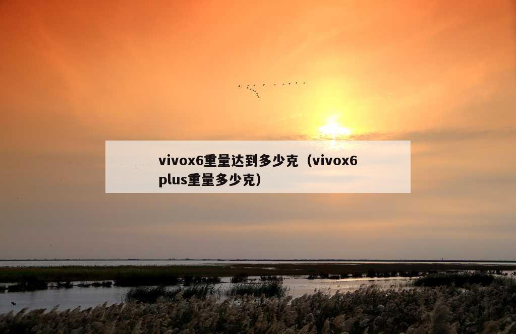 vivox6重量达到多少克（vivox6plus重量多少克）