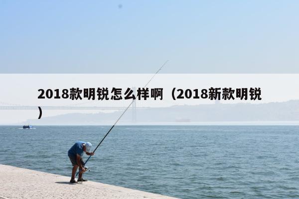 2018款明锐怎么样啊（2018新款明锐）