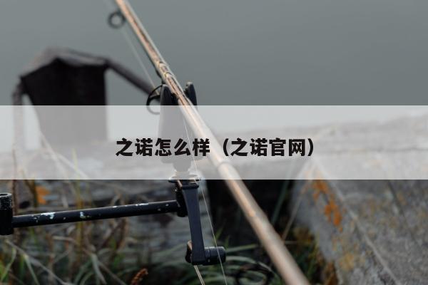 之诺怎么样（之诺官网）