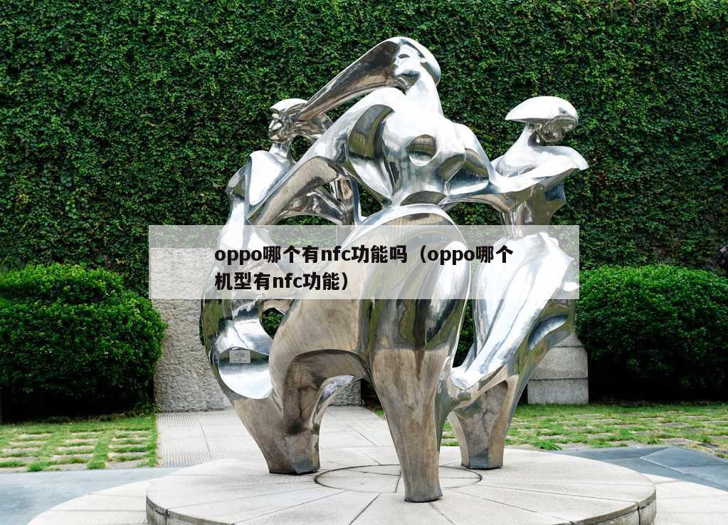 oppo哪个有nfc功能吗（oppo哪个机型有nfc功能）