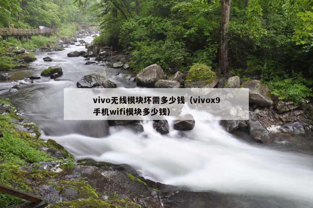 vivo无线模块坏需多少钱（vivox9手机wifi模块多少钱）