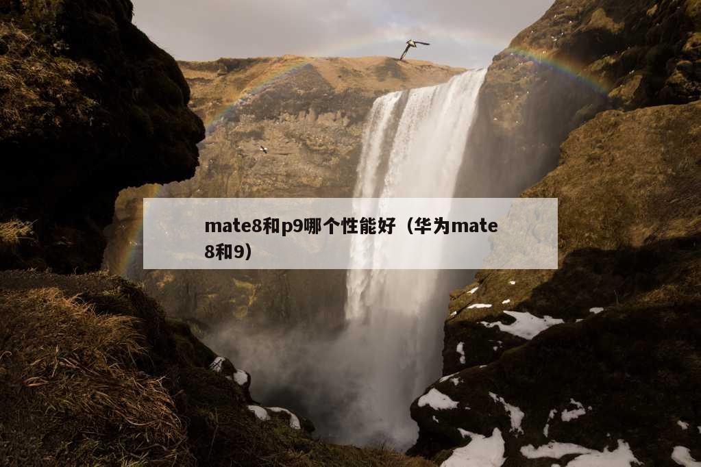 mate8和p9哪个性能好（华为mate8和9）