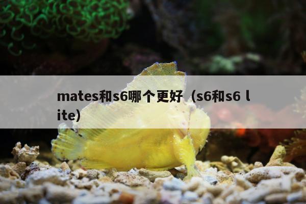 mates和s6哪个更好（s6和s6 lite）