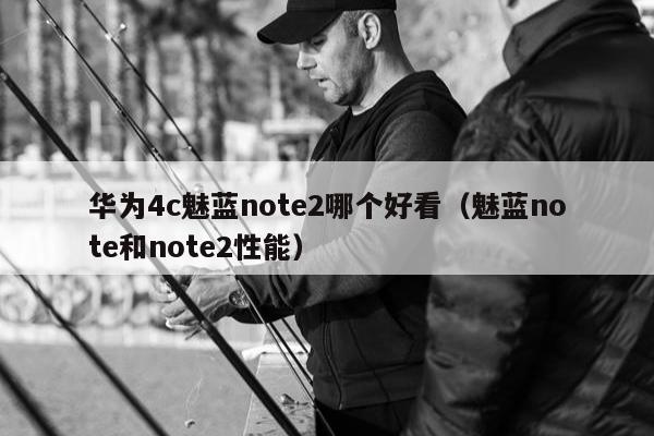 华为4c魅蓝note2哪个好看（魅蓝note和note2性能）