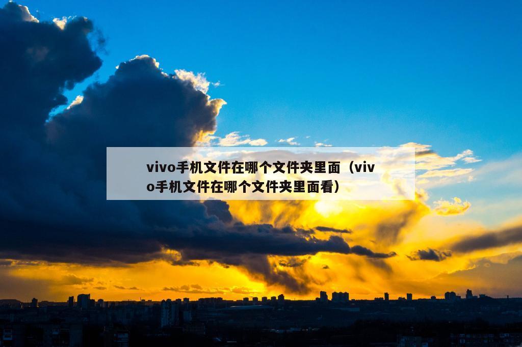 vivo手机文件在哪个文件夹里面（vivo手机文件在哪个文件夹里面看）