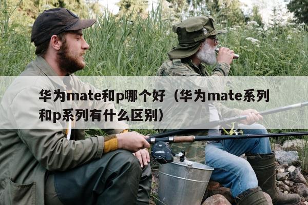 华为mate和p哪个好（华为mate系列和p系列有什么区别）