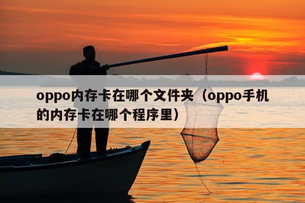 oppo内存卡在哪个文件夹（oppo手机的内存卡在哪个程序里）