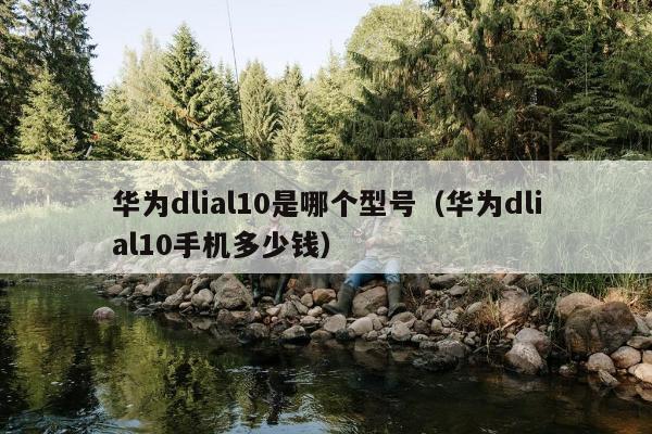 华为dlial10是哪个型号（华为dlial10手机多少钱）