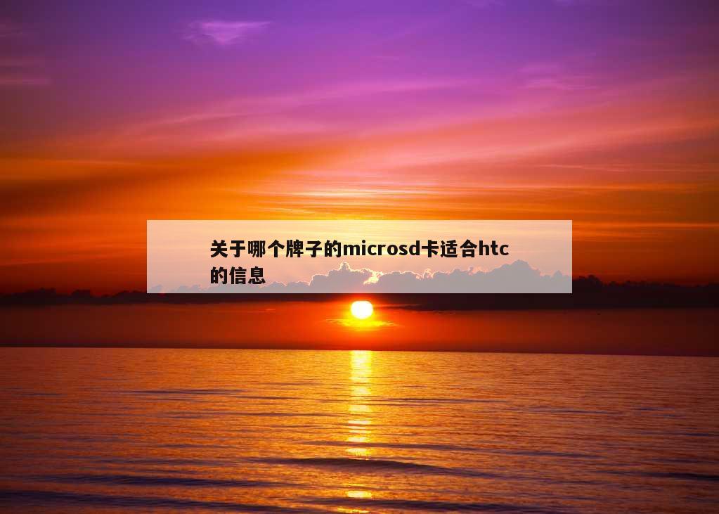 关于哪个牌子的microsd卡适合htc的信息