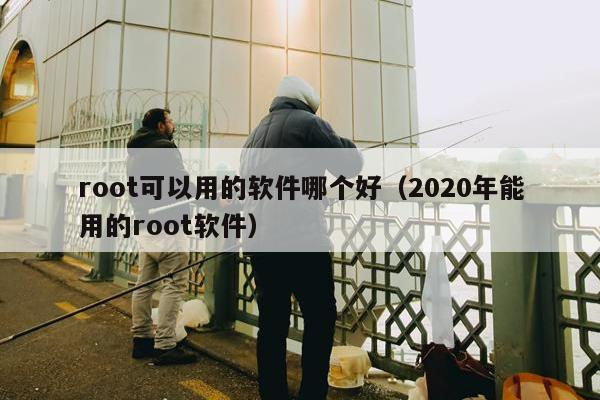 root可以用的软件哪个好（2020年能用的root软件）