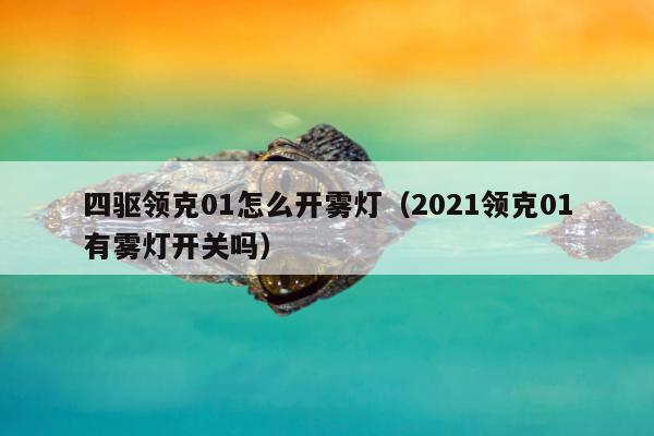 四驱领克01怎么开雾灯（2021领克01有雾灯开关吗）