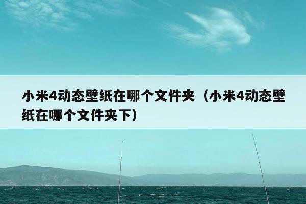 小米4动态壁纸在哪个文件夹（小米4动态壁纸在哪个文件夹下）