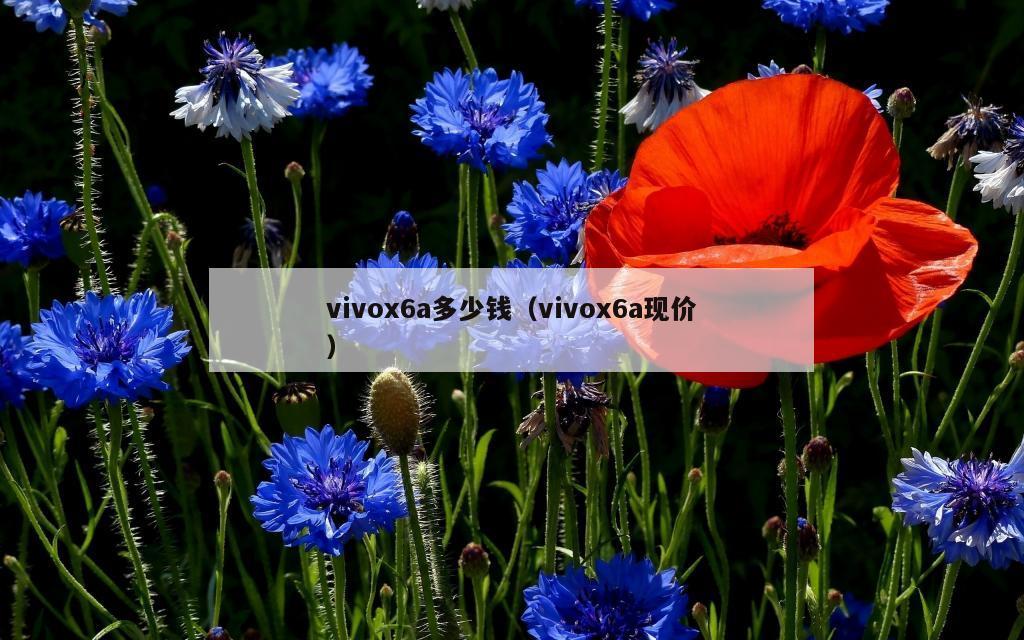 vivox6a多少钱（vivox6a现价）