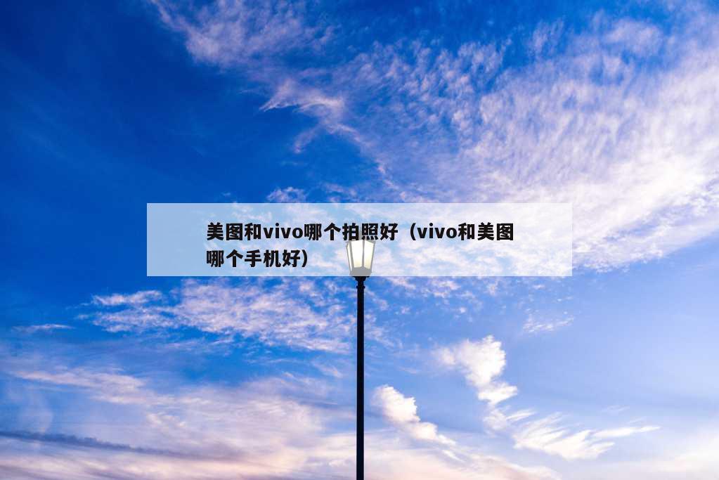 美图和vivo哪个拍照好（vivo和美图哪个手机好）