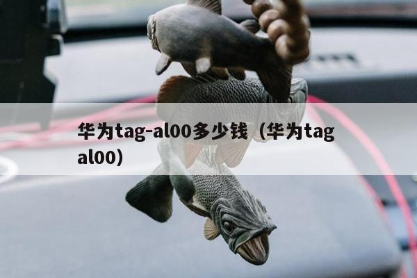 华为tag-al00多少钱（华为tag al00）