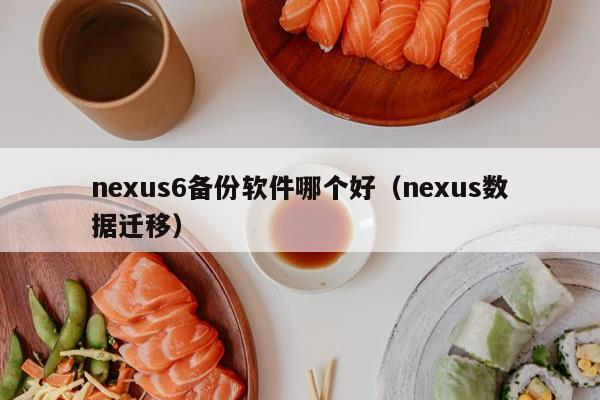 nexus6备份软件哪个好（nexus数据迁移）