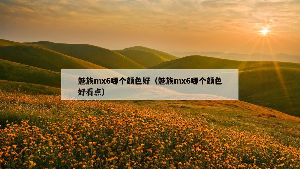 魅族mx6哪个颜色好（魅族mx6哪个颜色好看点）