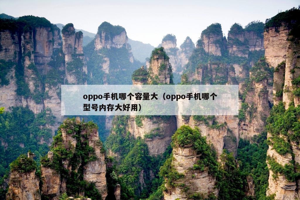 oppo手机哪个容量大（oppo手机哪个型号内存大好用）