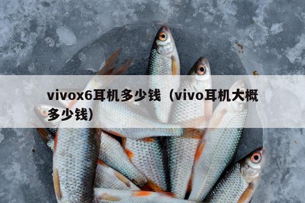 vivox6耳机多少钱（vivo耳机大概多少钱）