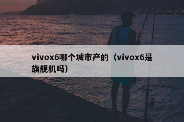 vivox6哪个城市产的（vivox6是旗舰机吗）