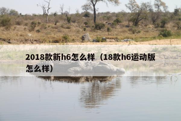 2018款新h6怎么样（18款h6运动版怎么样）