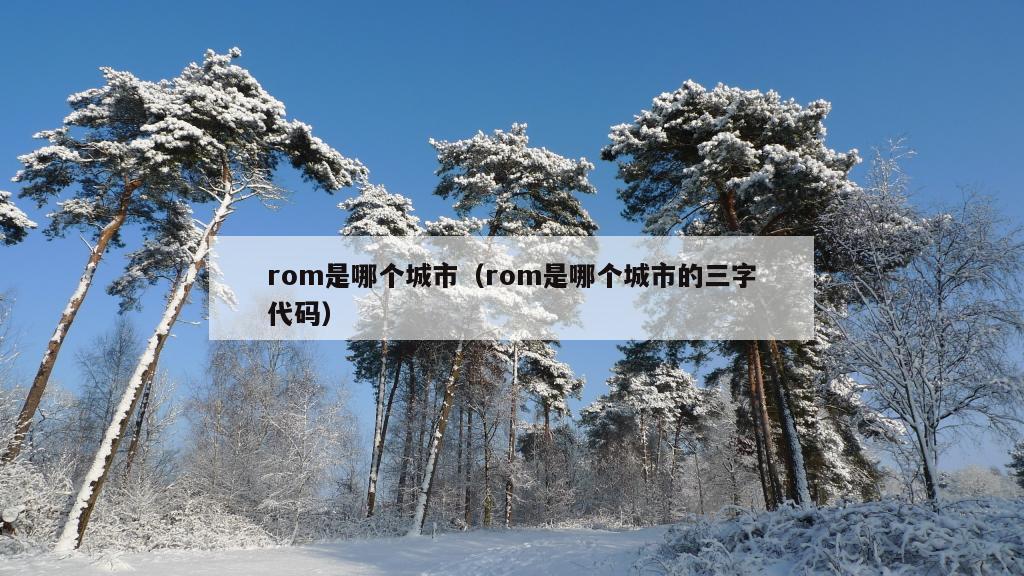 rom是哪个城市（rom是哪个城市的三字代码）