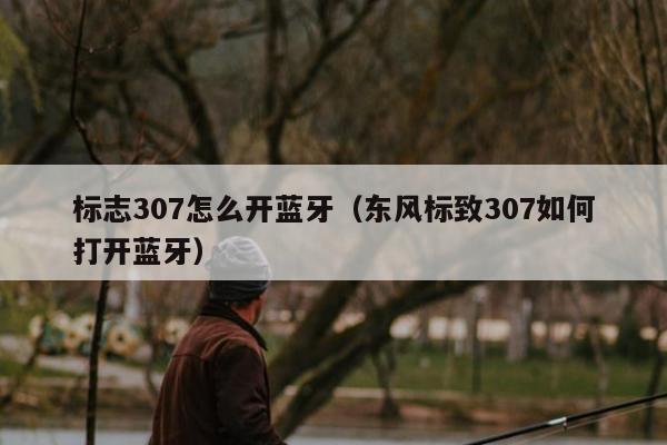 标志307怎么开蓝牙（东风标致307如何打开蓝牙）