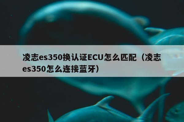 凌志es350换认证ECU怎么匹配（凌志es350怎么连接蓝牙）